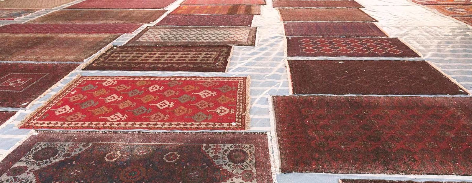 Traditional rug sun-drying and washing process in Vadodara – professional cleaning for handmade carpets.